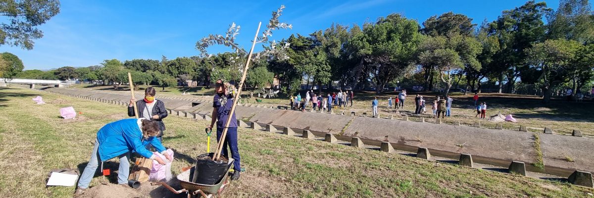 Renew the Elsieskraal River NETwork Avatar Project