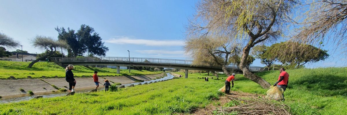 NETwork Avatar Project Renew the Elsieskraal River