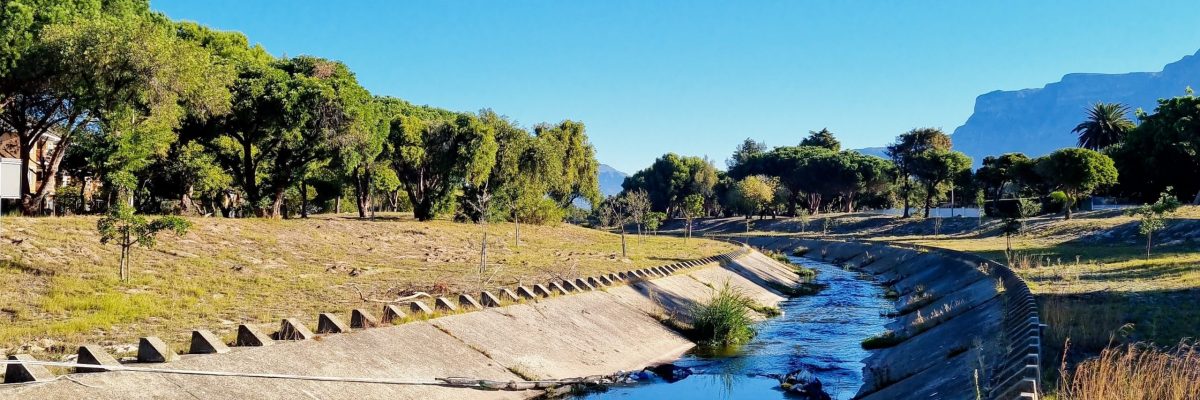 NETwork Avatar Project Renew the Elsieskraal River